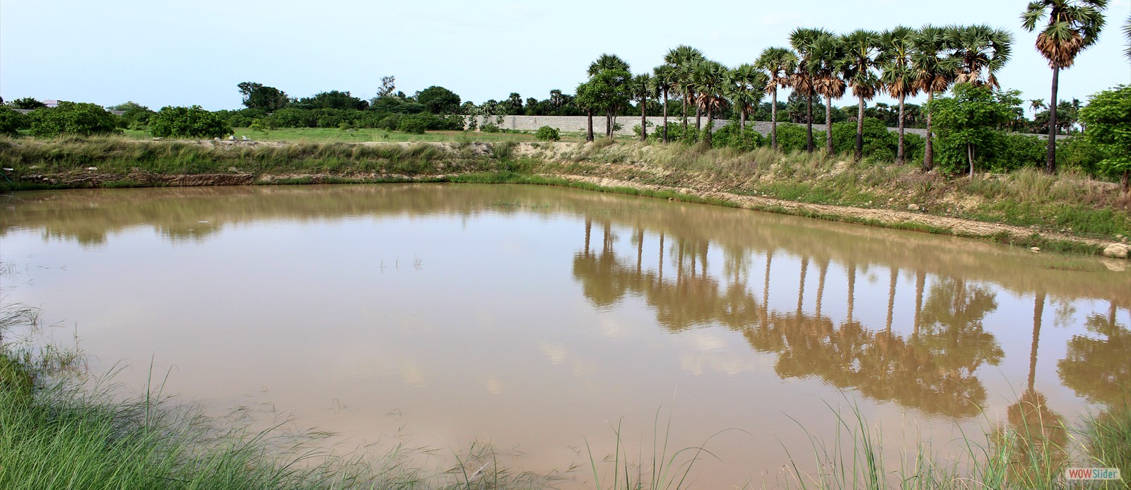 E-Farm Pond