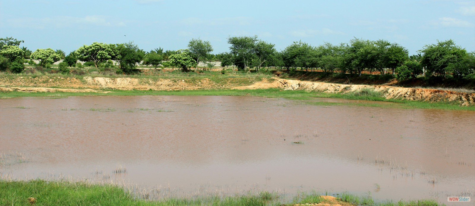 MAA Farm Pond