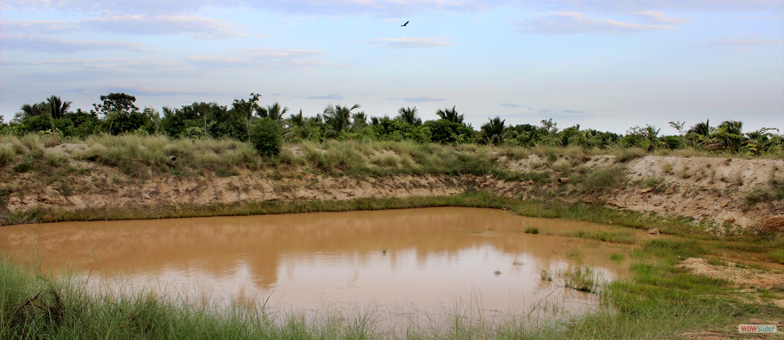 D-Farm Pond