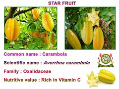 Carambola