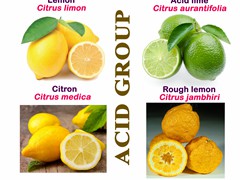 Lemon Group