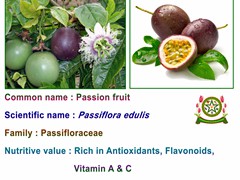 Passion Fruits