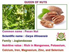 Pecan nuts